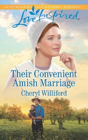 [Pinecraft Homecomings 02] • Their Convenient Amish Marriage